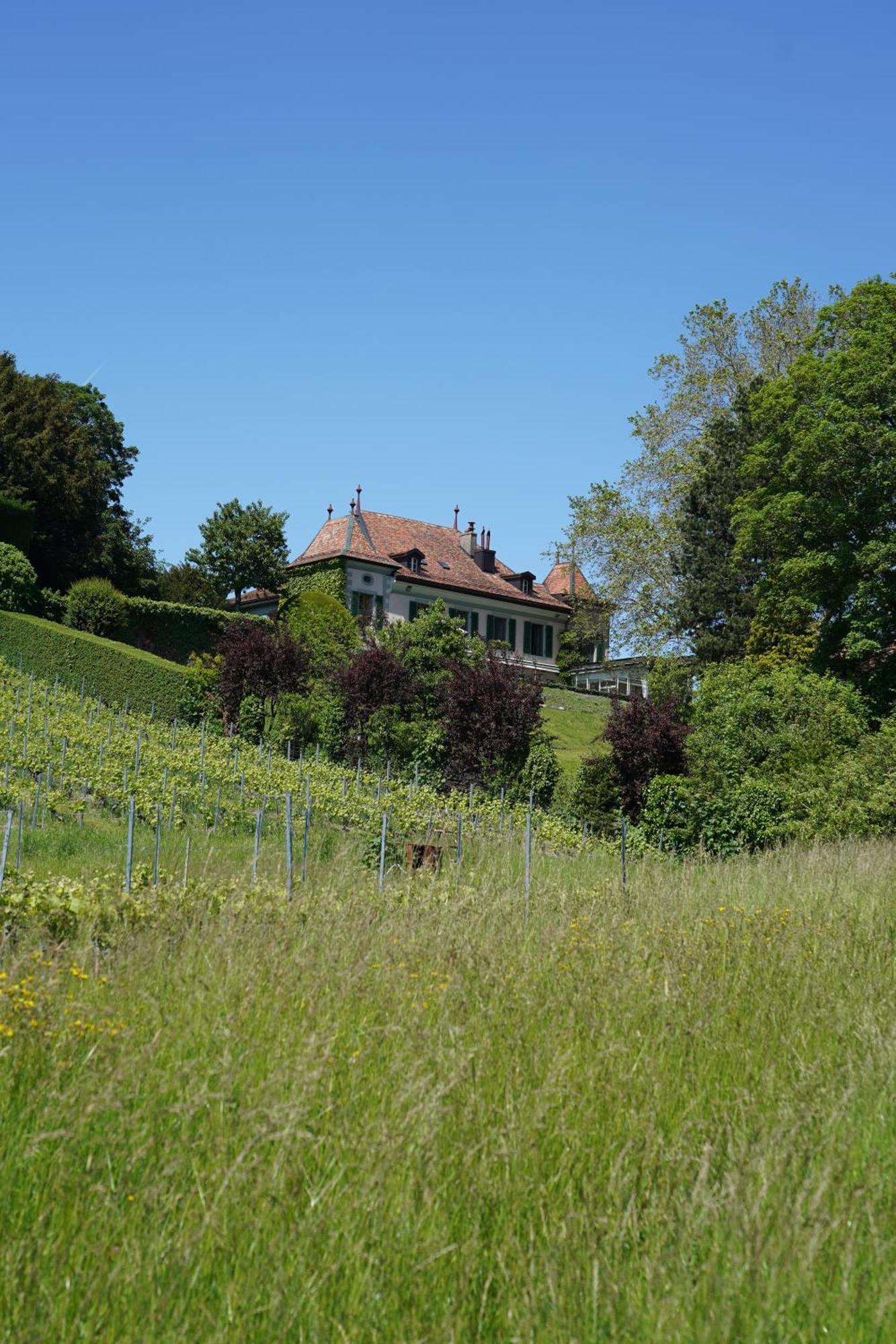 Le Chateau Lavigny Exterior photo